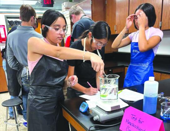 Ms. Bird’s Biology Class in Wheeler