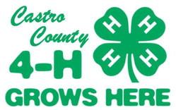 Castro County 4-H Kids,