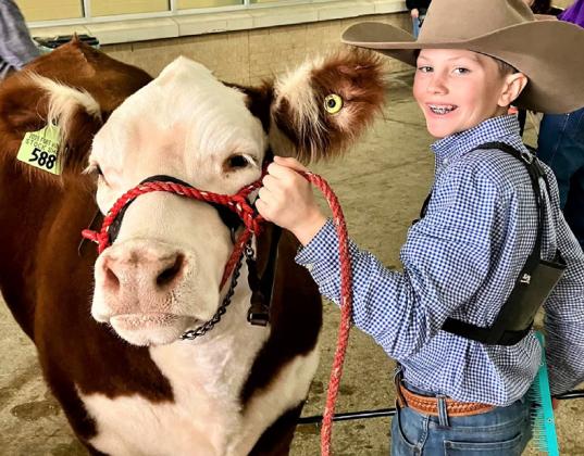Castro County 4-H Yates Olson won 7th with his Hereford steer at the Ft. Worth Livestock Show and qualified for the sale.