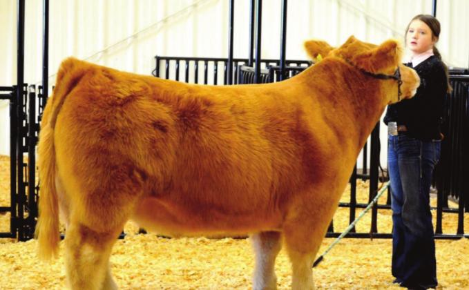 Nazareth Kicks Off Stock Shows