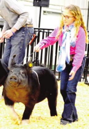 Nazareth Kicks Off Stock Shows
