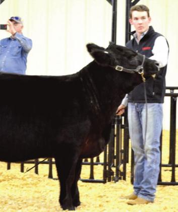 Nazareth Kicks Off Stock Shows