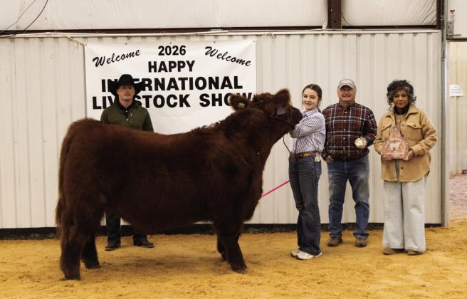 Grand Champion Steer - Bristal Hix. Photo by Avary Wesley