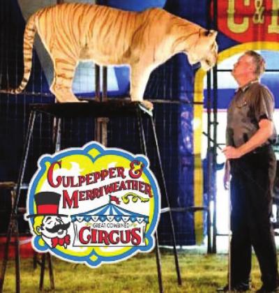 Dimmitt Rotary to host