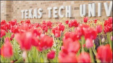 Red Raiders Day of Giving