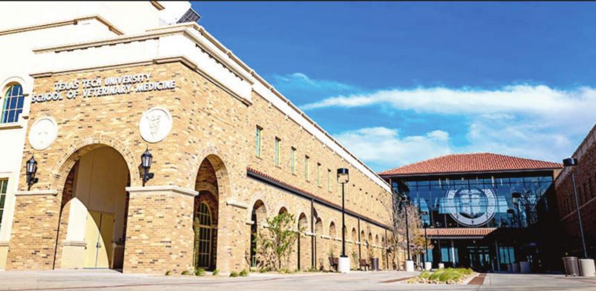 TTU vet school to host ribbon cutting