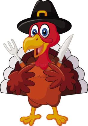 Turkey facts for