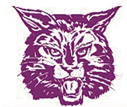 DMS Bobcats begin to