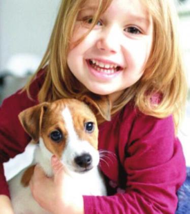 Pet