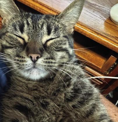 Pet Pic of the Week