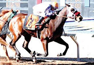 Lamesa horse Wild On Ice and jockey, Ken Tohill