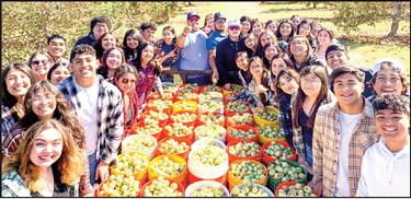Dimmitt FCCLA students volunteered at the South Plains Food Bank apple orchard near Lubbock. They picked 120 buckets of apples, bagged and filled seven large containers of washed apples, and laughed and talked and giggled the whole time. The orchard staff was so sweet to the kids and answered so many questions. SPFB thanked the students for coming out to help. FCCLA also thanked the University Ave. restaurants for serving them lunch. (photo by Crystal Nino)