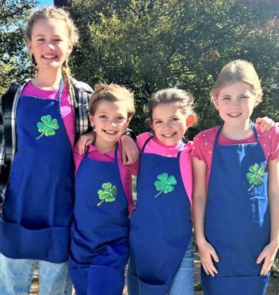 District 2 4-H Food Challenge – Castro 4-H Junior Team 1, Jolie Fuller, Raynee Lewis, Claire Hon and Eleanor O’Connor, placed 2nd in Junior Main Dish 1.
