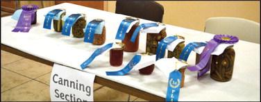 The County Fair entries were tough contenders for the blue ribbons in numerous divisions with both youth and adults participating. (See inside for Division results)