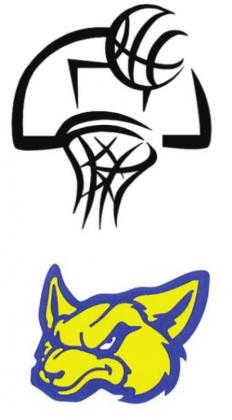 Swiftettes clench Regional Semi-Finals