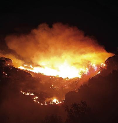 BRIDWELL FIRE