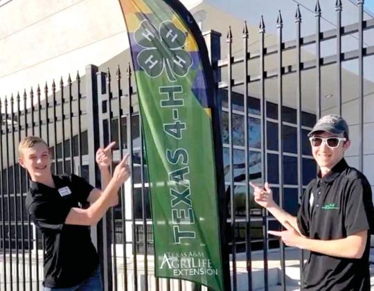 Area 4-H: Star &amp; STEM