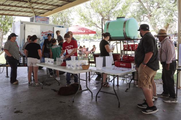 Swisher County 4-H members served tea and water