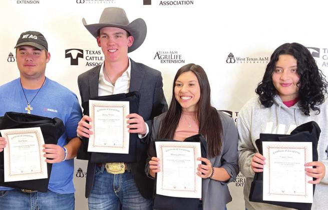 Naz FFA Updates