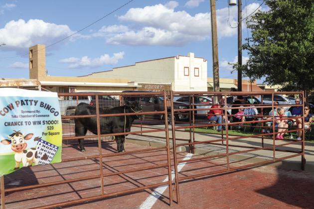Tulia Chamber of Commerce Cow Patty Bingo