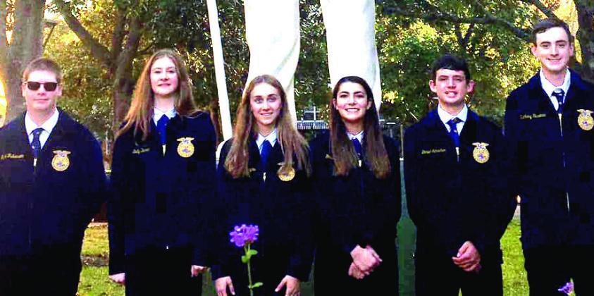 Naz FFA Updates