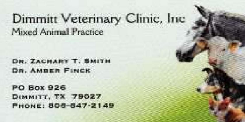 Pet Talk