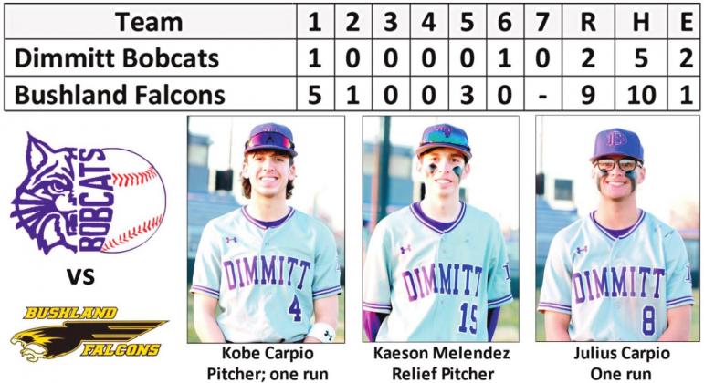 Bobcats fall to Bushland