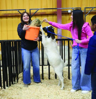AG IN THE CLASSROOM