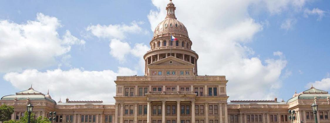 Texas Covid Poll results show voters’ priorities