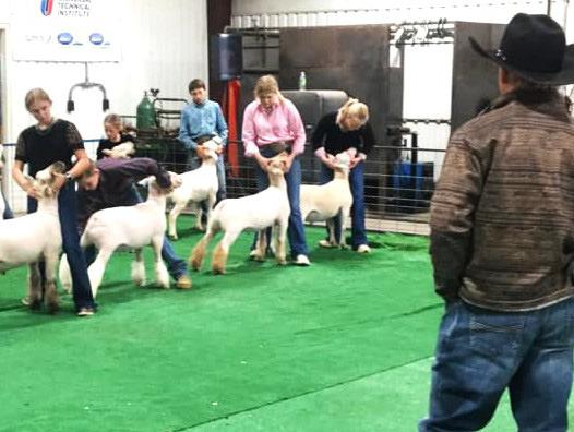 Nazareth Ag held its 15th Annual Lamb Jackpot and Clinic this past Saturday and had a strong showing. There were 56 lambs from Dumas, Dimmitt, Tulia, Hereford, Friona, Muleshoe, Ropes, Littlefield, Canyon, Springlake, Amarillo and Abernathy arriving to compete. The event was sponsored by Ag Texas.