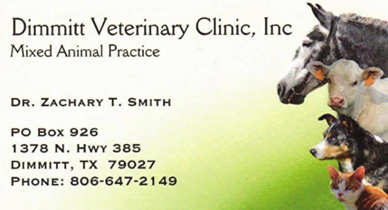 Pet Talk