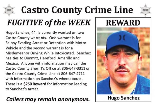 Castro County Sheriff’s Office Report