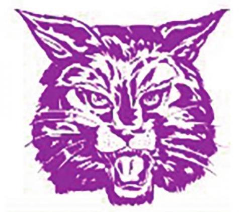 Bobbies lose to Golden Tornadoes