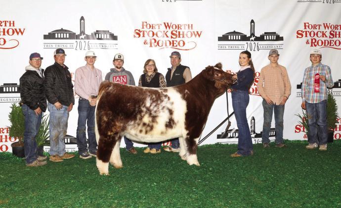Addi Reed 2nd place Shorthorn