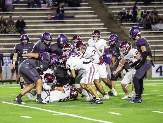 HERD IN ACTION