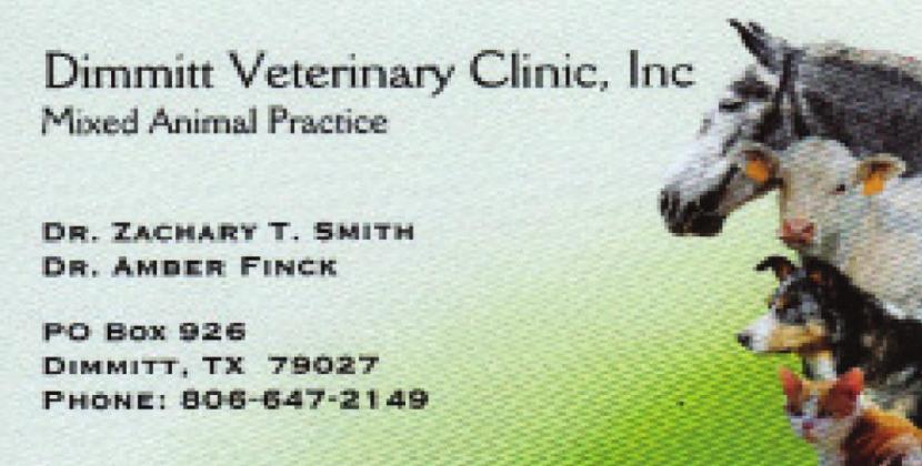 Pet Talk