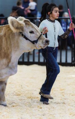 Castro County Livestock Show Results