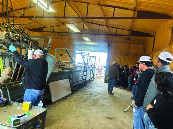 Hereford Veterinary Clinic hosts Beef Quality Assurance Seminar