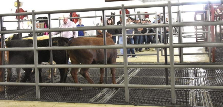 Hereford Veterinary Clinic hosts Beef Quality Assurance Seminar