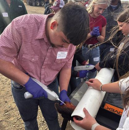 Hereford Veterinary Clinic hosts Beef Quality Assurance Seminar