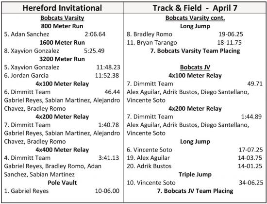Dimmitt track advances to Area