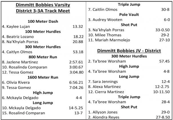 Dimmitt track advances to Area