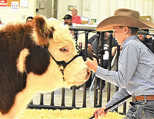 Kannon Farris and Colow Farris were among the Castro County ag youth who showed off their talents and livestock projects at the Nazareth and Castro County stocks shows last week. Results and winners will be featured in the Livestock Special Section in next week’s paper.