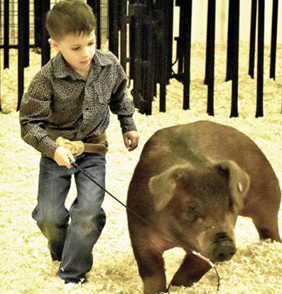 Kannon Farris and Colow Farris were among the Castro County ag youth who showed off their talents and livestock projects at the Nazareth and Castro County stocks shows last week. Results and winners will be featured in the Livestock Special Section in next week’s paper.