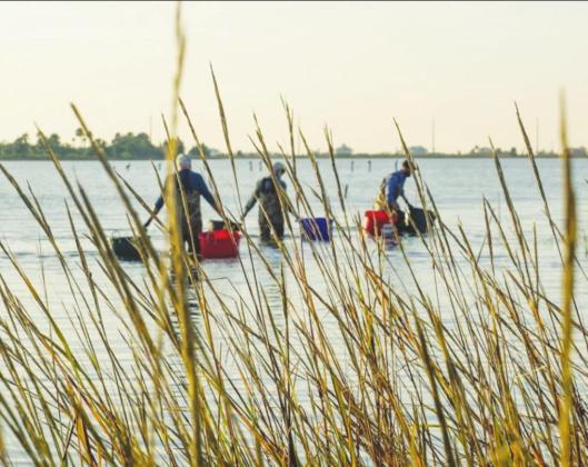 Texas Master Naturalist training signup through Aug.