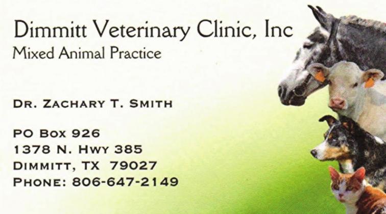 Pet Talk