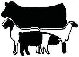 County stock shows kick off Jan. 10