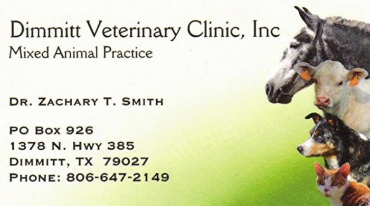 Pet Talk