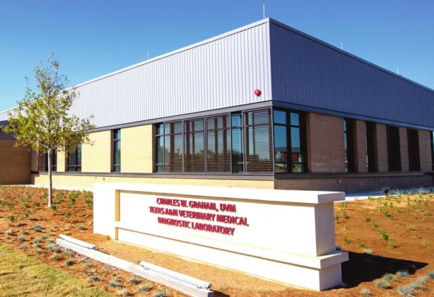 The Veterinary Education, Research, &amp;amp; Outreach Building and the Charles W. Graham DVM Texas A&amp;amp;M Veterinary Medical Diagnostic Laboratory Building are officially open.