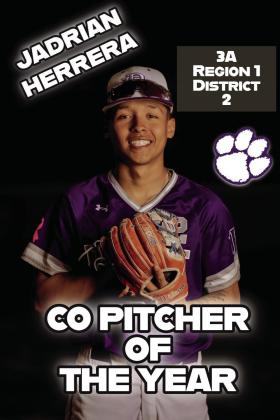DIMMITT BASEBALL ALL-DISTRICT